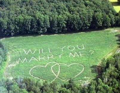 cute, marry me and weed