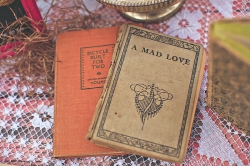 books, book of love and book