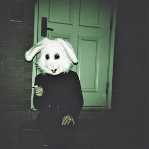 music, camera, photo and rabbit