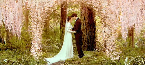 bella, breaking dawn and edward
