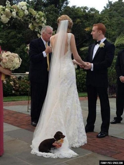 lol, cute, married and dog