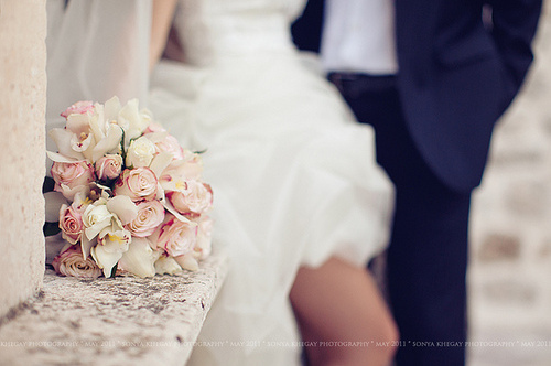 fresh, roses love and elegant
