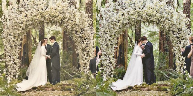 robert pattinson, breaking dawn and edward