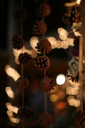 pinecones, decoration and idea