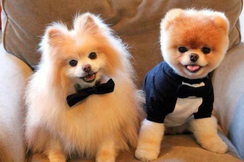 OMG, love and wedding dress