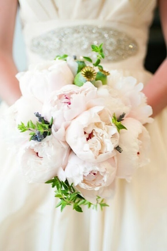 white, pretty, peony and bride
