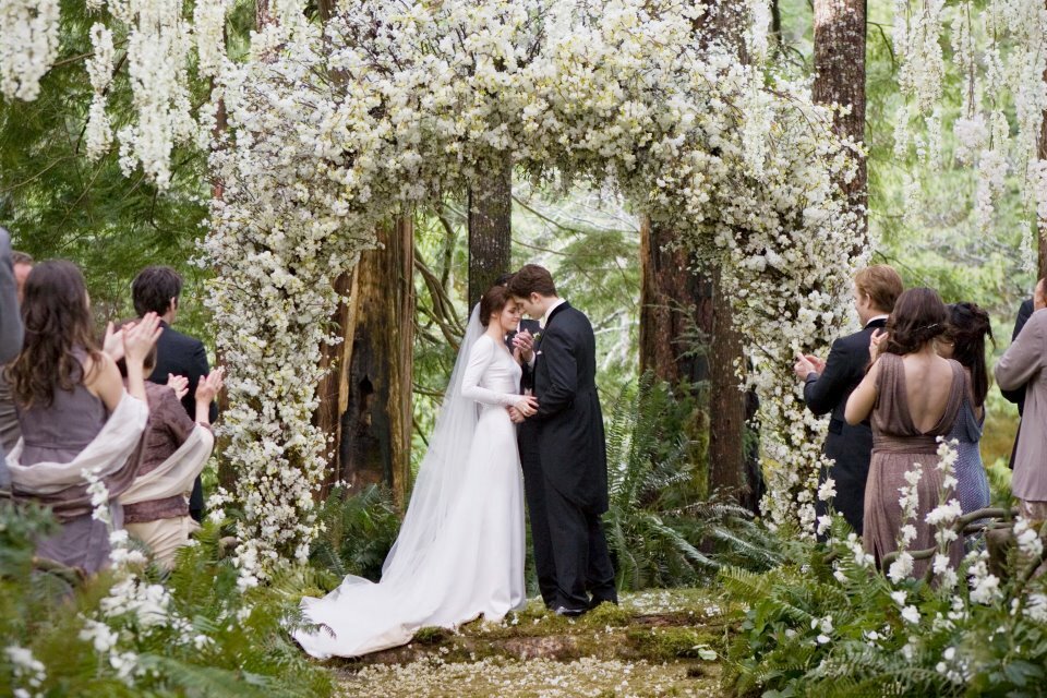 breaking dawn, cinema, flowers and love
