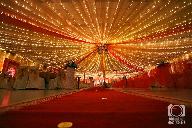 bridal, red, bengal and lights
