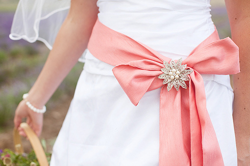 style, bow and salmon