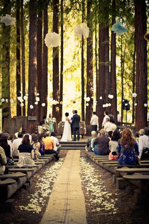 cute, forest, beautiful and love