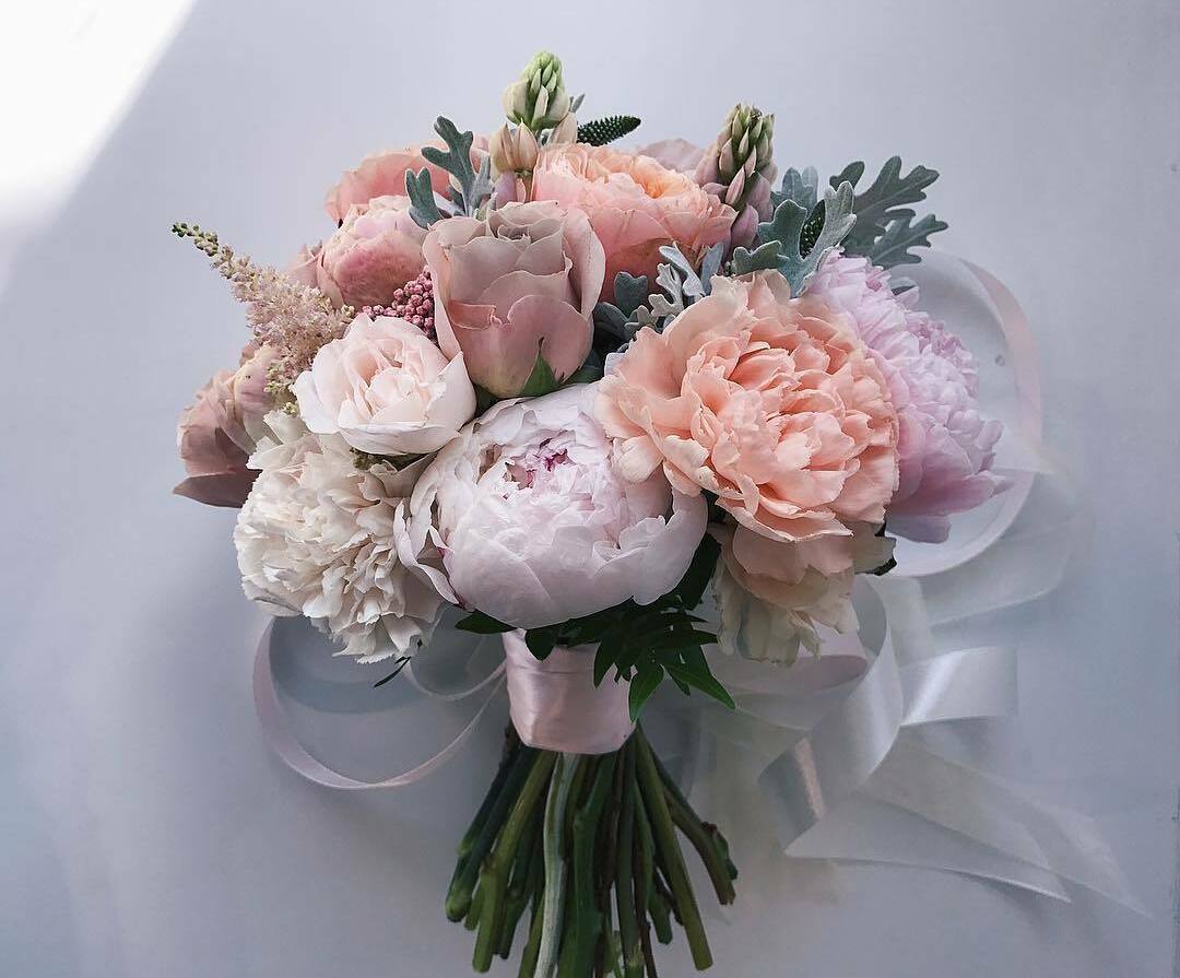 floral, peonies, pink and flowers