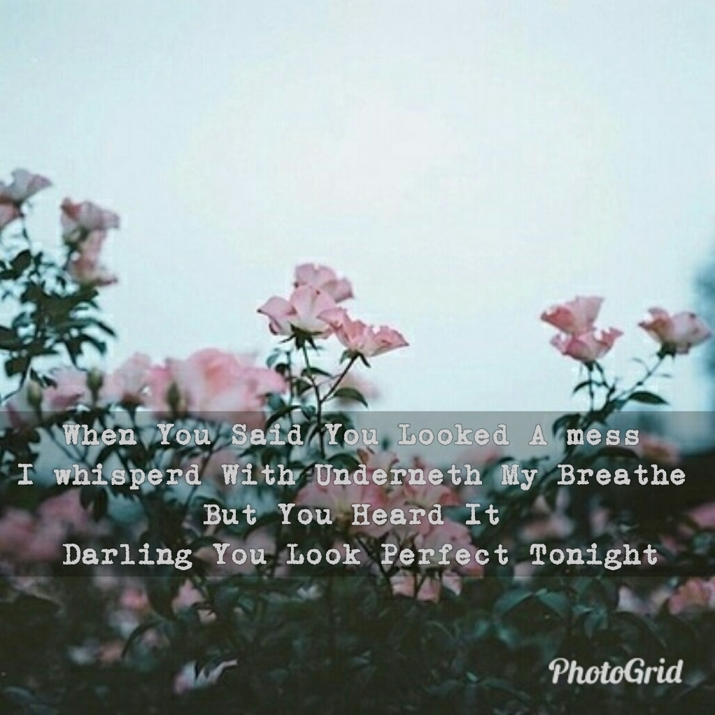 Lyrics, ÷, quotes and pink
