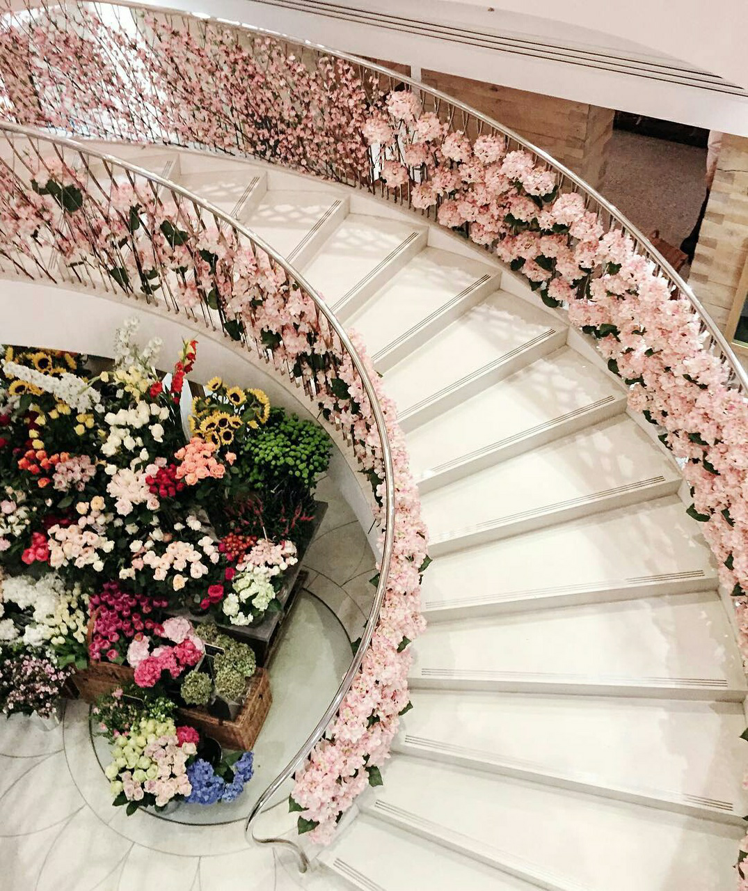 flower flowers, rose roses, pink and stairs