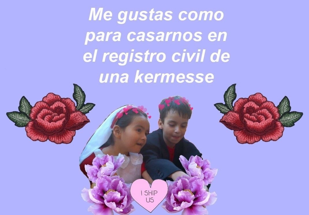 quotes, aesthetic phrases, palabras and phrases