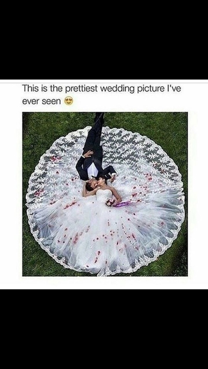 beautiful, need, aww and Awe