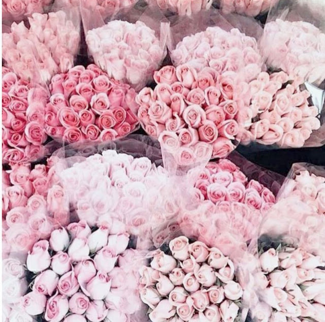 flowers, fleur, rose and flower