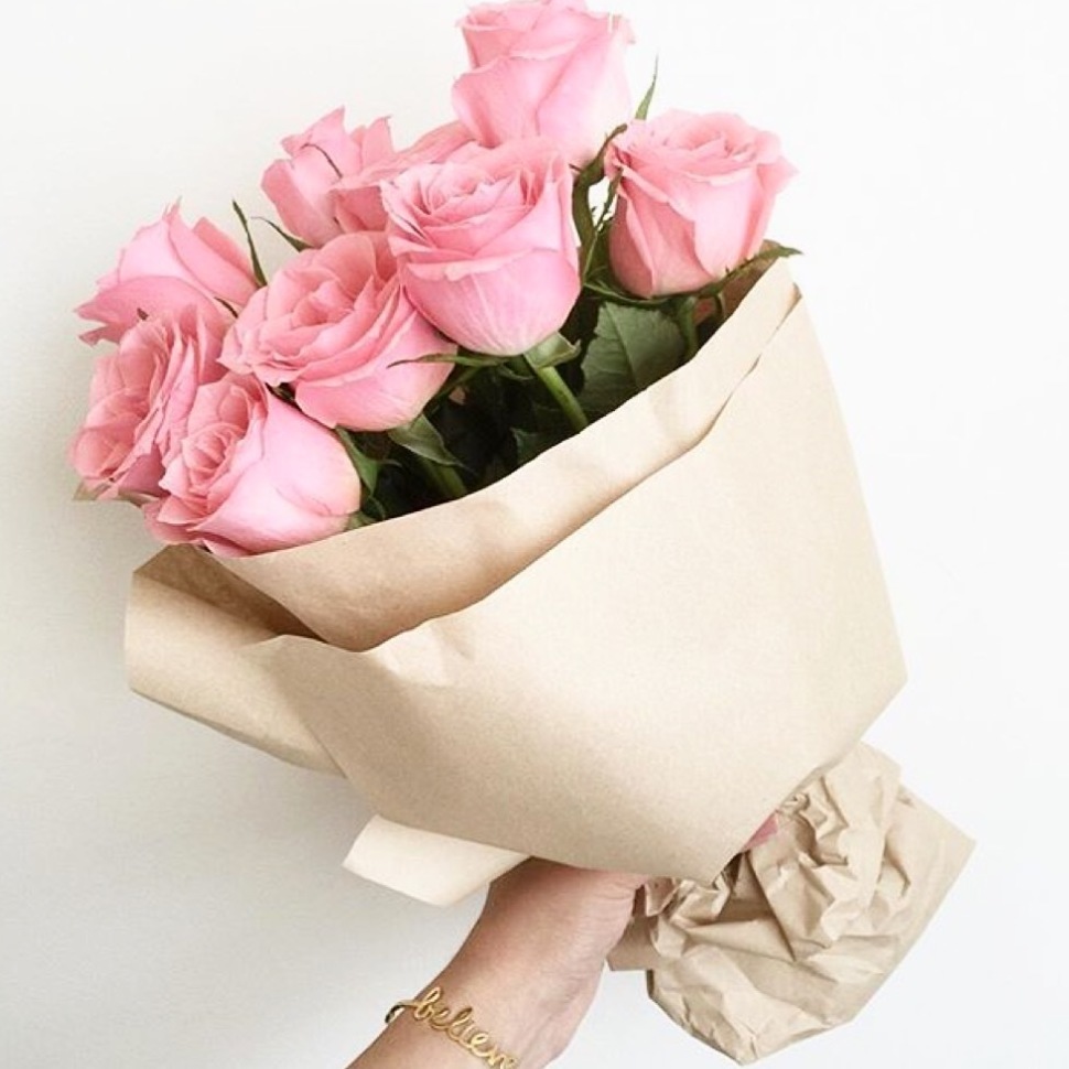 rose, Fleurs, flower and fleur
