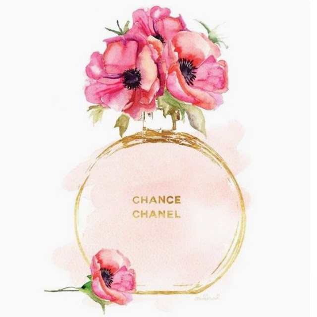 rose, Fleurs, flowers and fleur