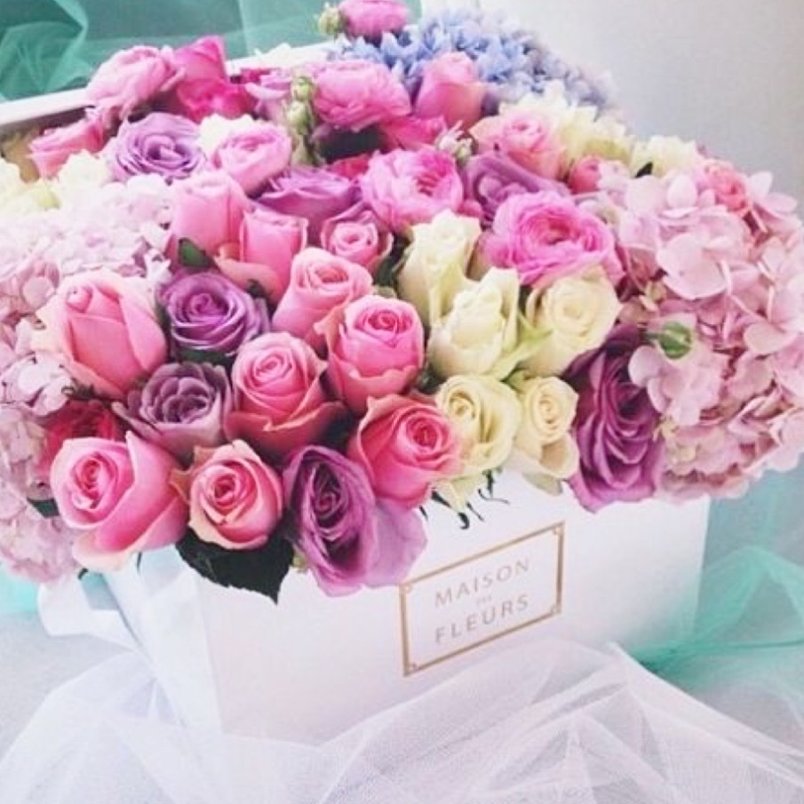 flowers, flower, rose and fleur