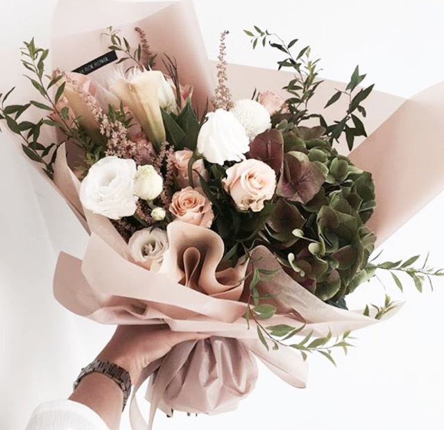 flowers, rose, fleur and flower
