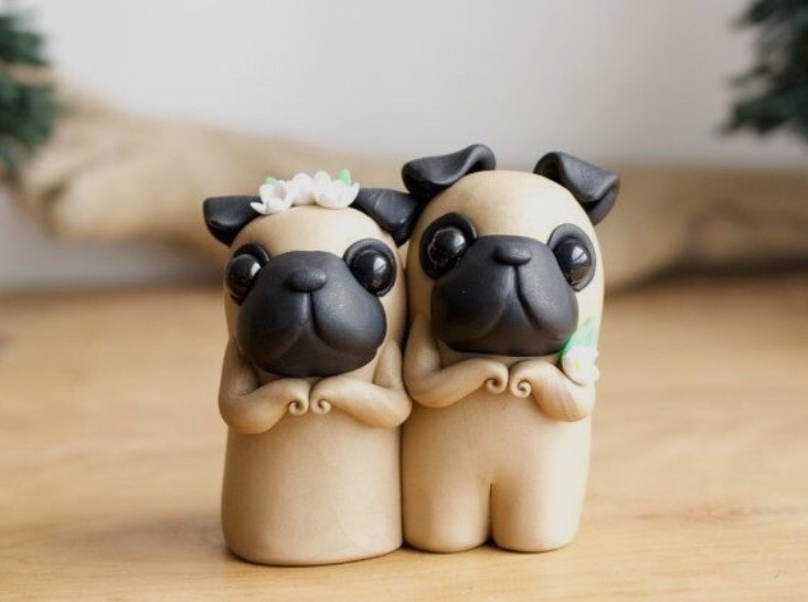 funny, cake, cool and adoreble