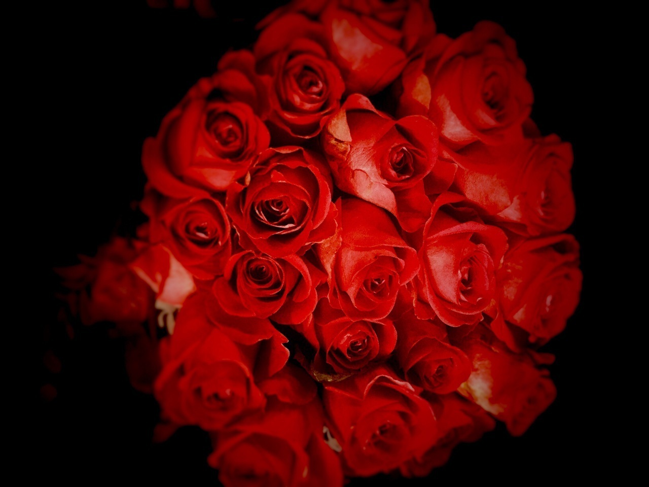 gucci, romantic, ? and love