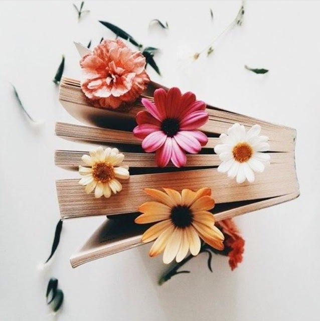 book, rose, roses and flowers