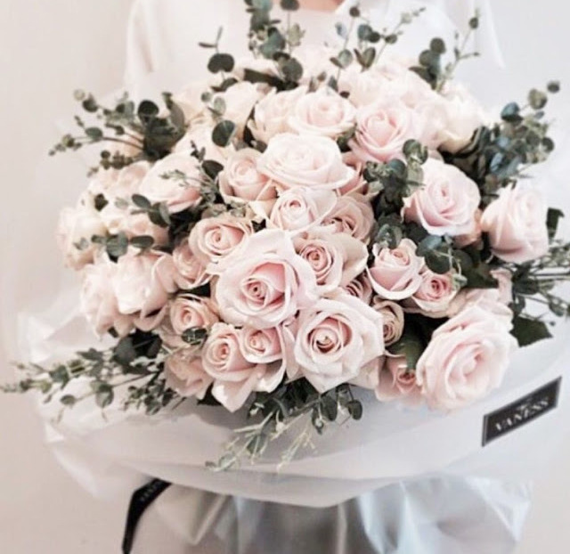 roses, Fleurs, rose and flowers
