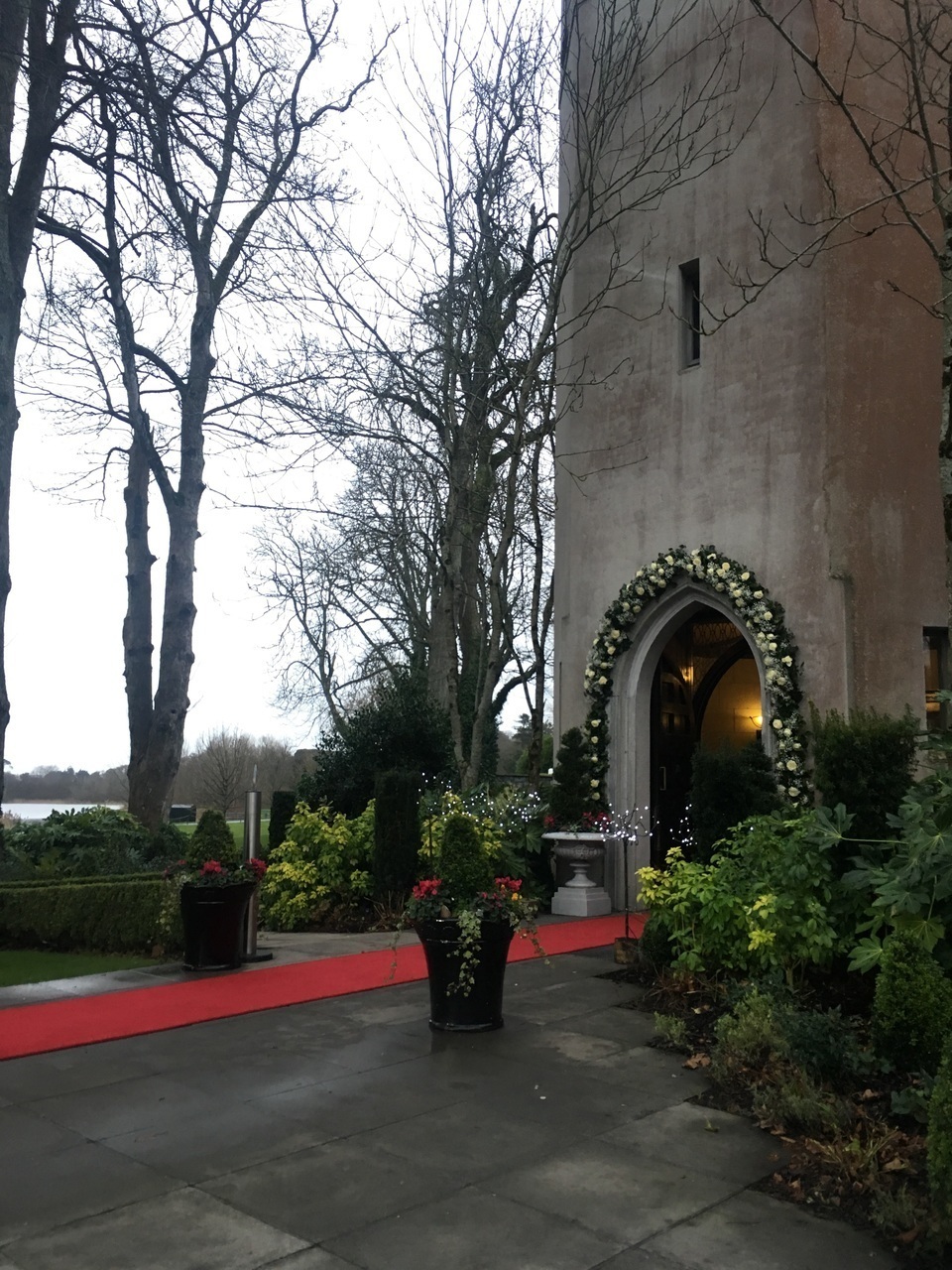 castle, flowers, luxury and lights