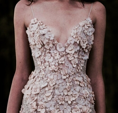 birde, pink, dress and Dream