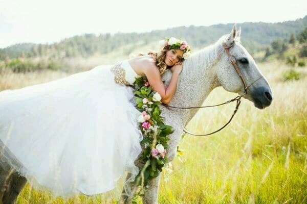 horse, bride and white