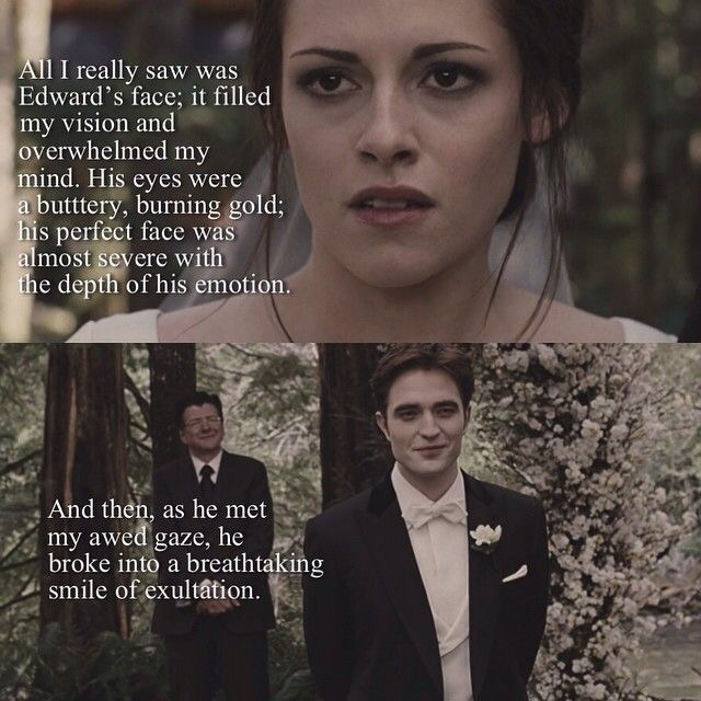 breaking dawn, bella, twilight and quote