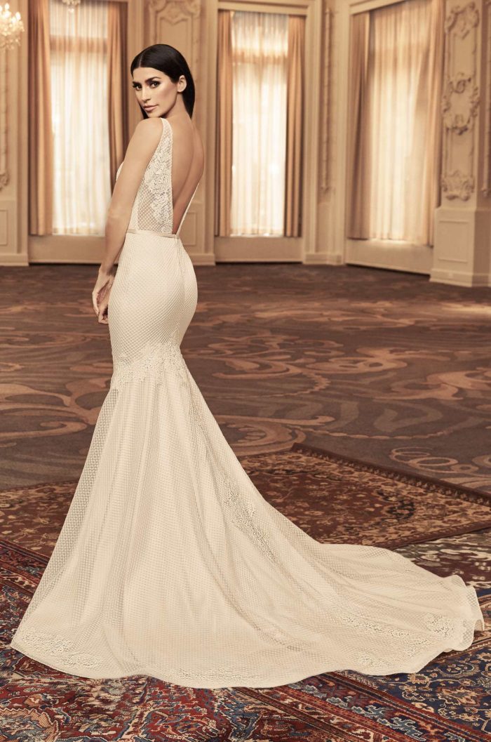 belleza, moda, paloma blanca and nupcial