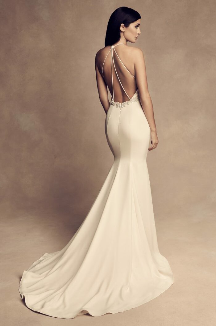 elegancia, nupcial, paloma blanca and bridal
