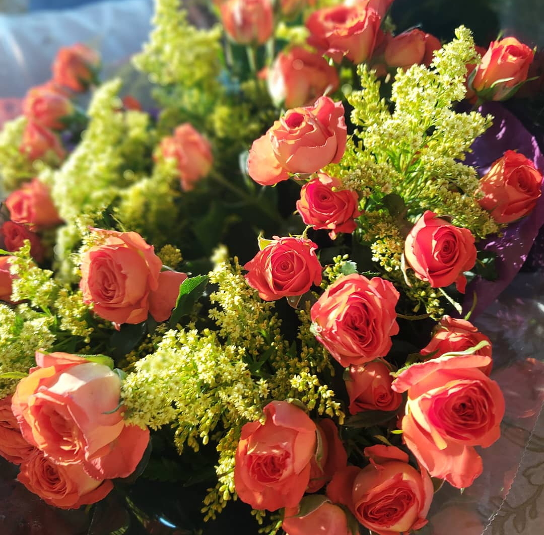 flowers, pink, sunlight and beauty