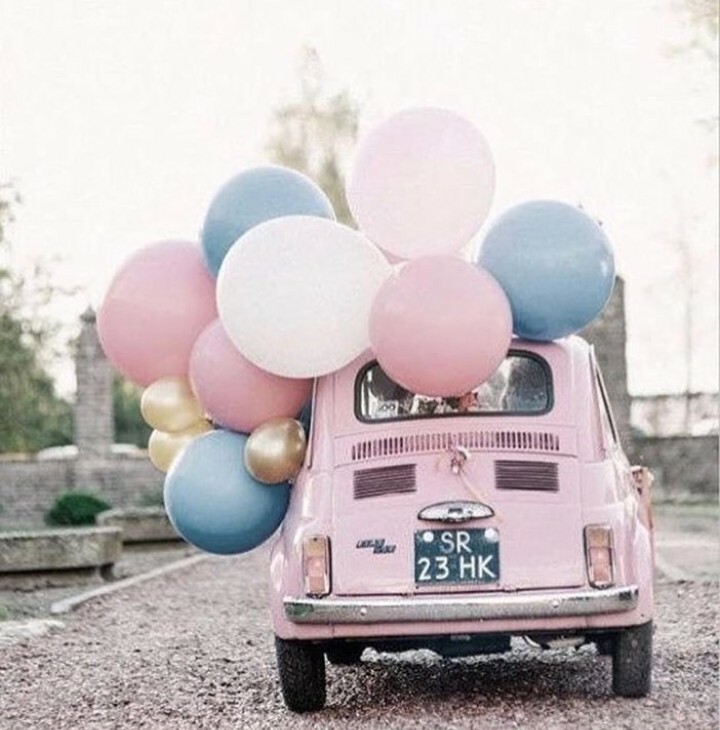 italian, rosy and fiat