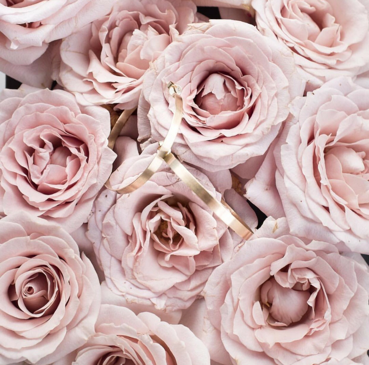 pink, lockscreen, nature and flowers