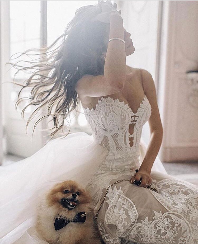 weddingdress, bride, angel and white