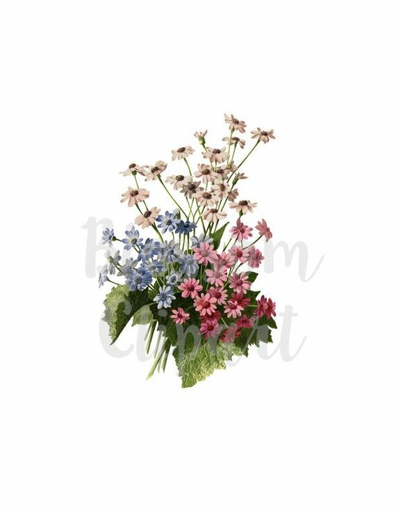 png flower, invitation, flower clipart and vintage flower