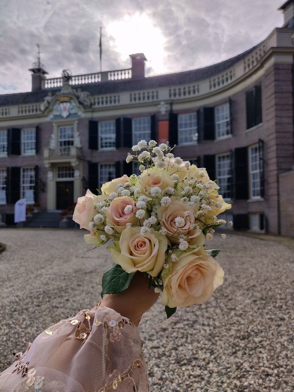 the netherlands, flower flowers, sajeda sajeda_m and cute