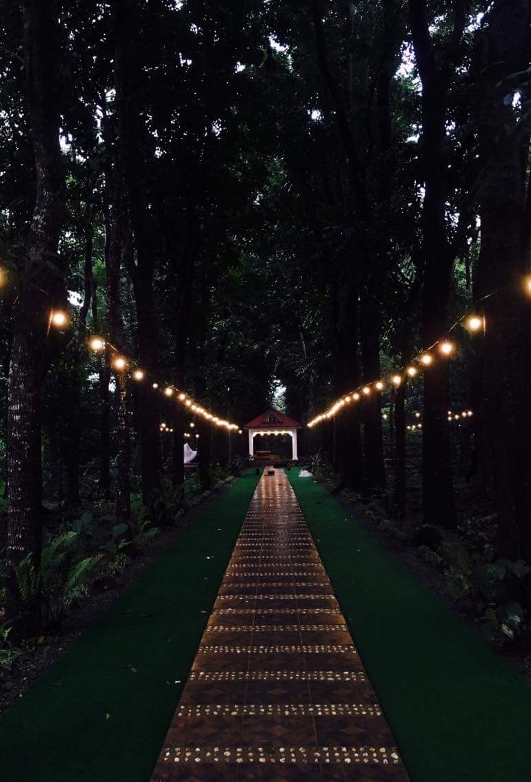 party, rustic, night and groom
