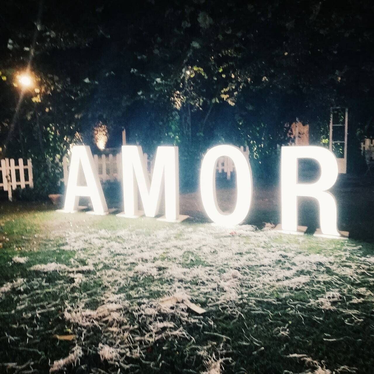 love, portugal, ​amor and forever