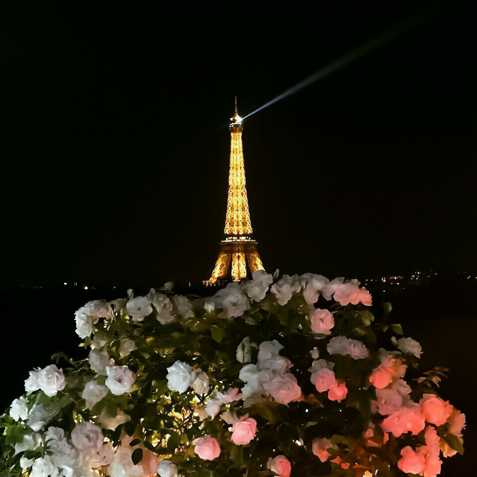 roses, romantic and love