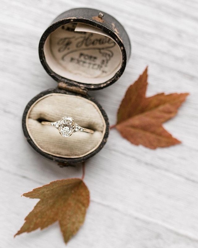 classic, elegant, fall and rings