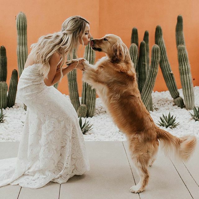 mr. and mrs, married, insta and little