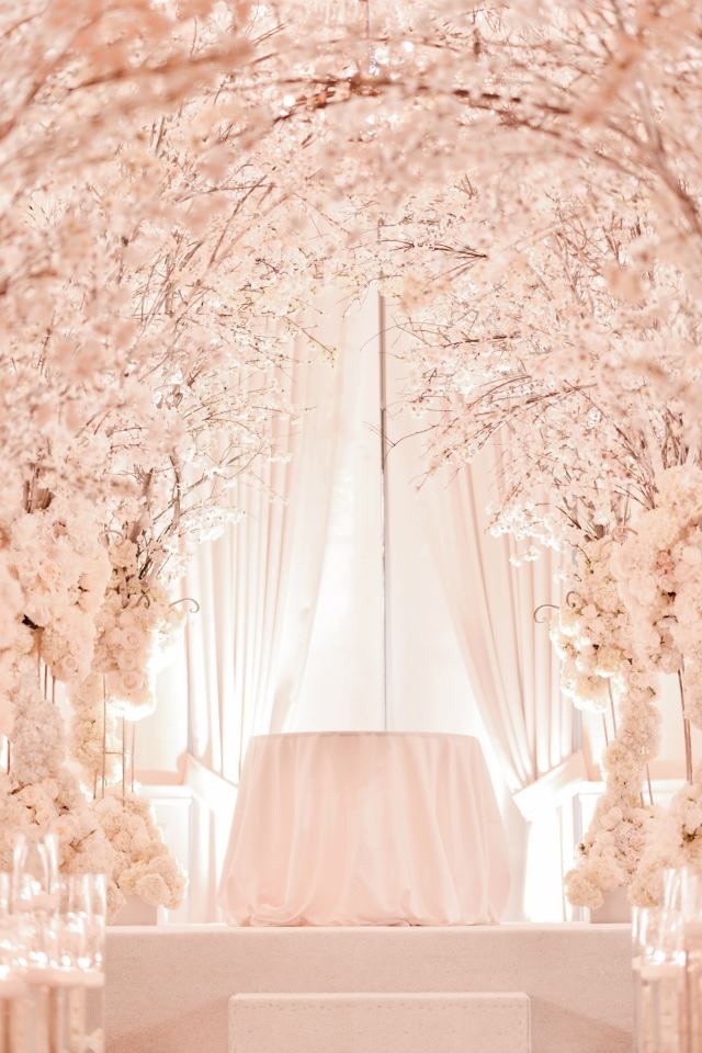 cherry blossoms, flowers, beautiful and ideas