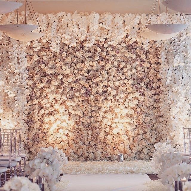 wedding ideas, rose wall, roses and flower wall