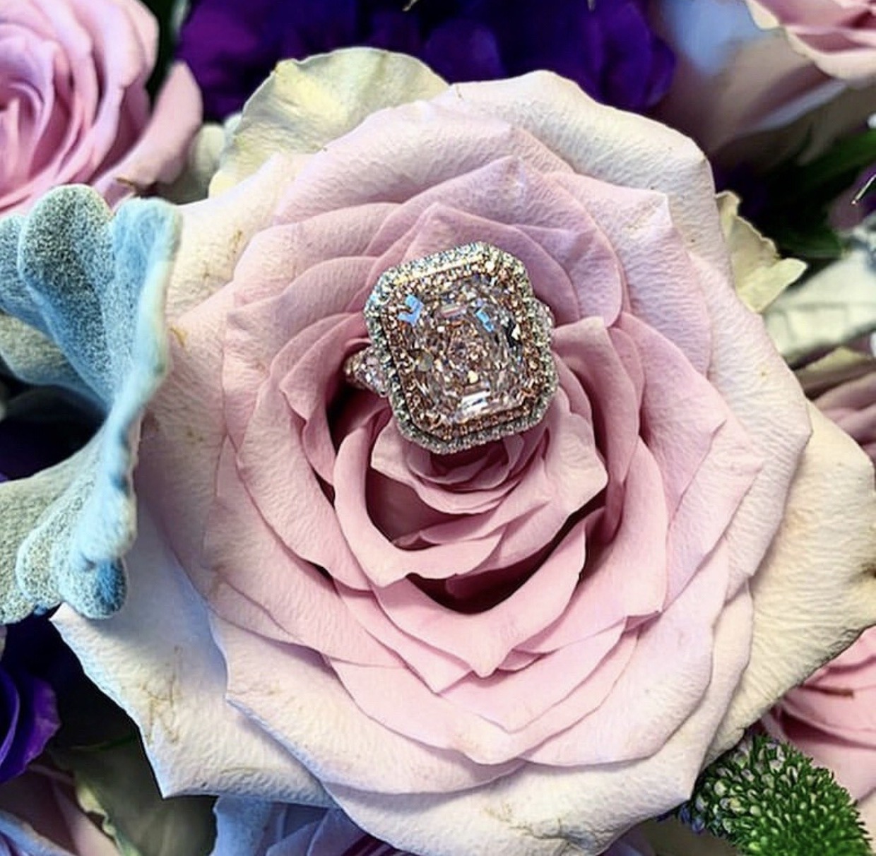 rose, girl, diamond's and luxury
