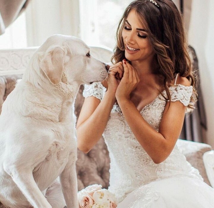 lovepuppies, party, pup and cute