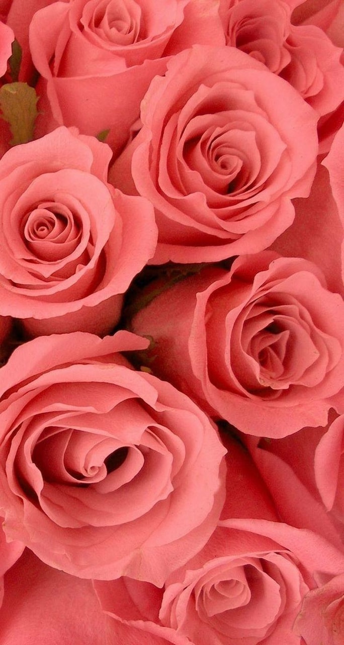 background, red, wallpaper and inspiration